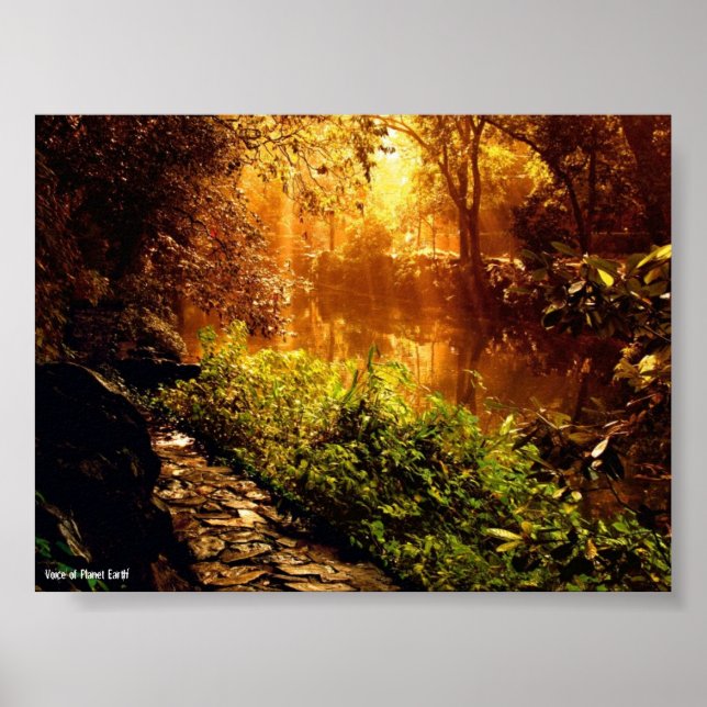 Poster 1 - Nature (Front)