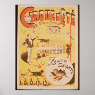 Poster advertising the Cirque d'Ete in the
