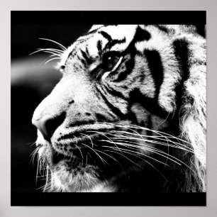 Poster-Animals-40 Poster