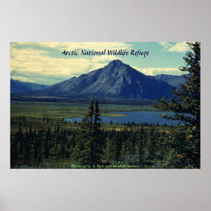 Poster / Arctic National Wildlife Refuge