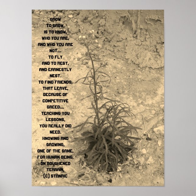 POSTER ART AND DESIGN STYLE  (Front)