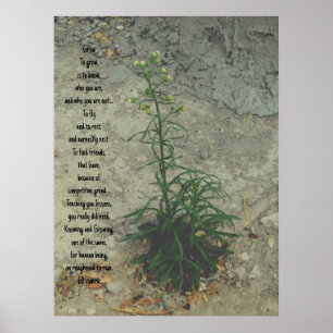 POSTER ART AND DESIGN STYLES