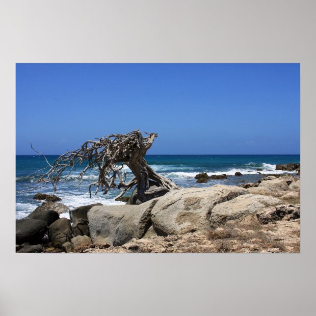 poster aruba (Front)