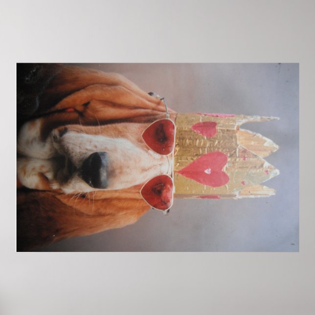 Poster Basset Hound King (Front)