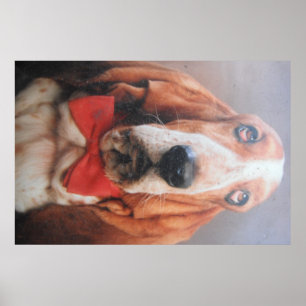Poster Basset Hound With Red Bow Tie