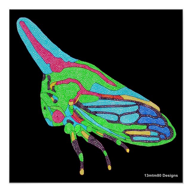 Poster (black) - Oak Treehopper (Front)
