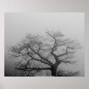 POSTER Blue Ridge Mountains -