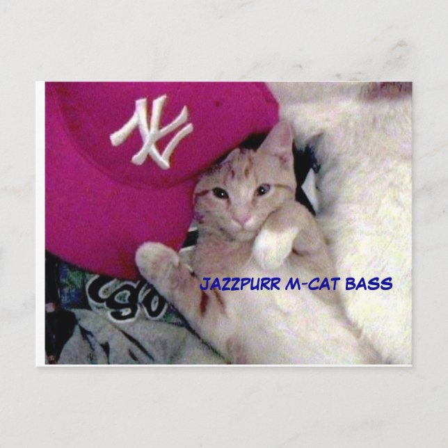 Poster Boy for Love Jazzpurr Postcard (Front)