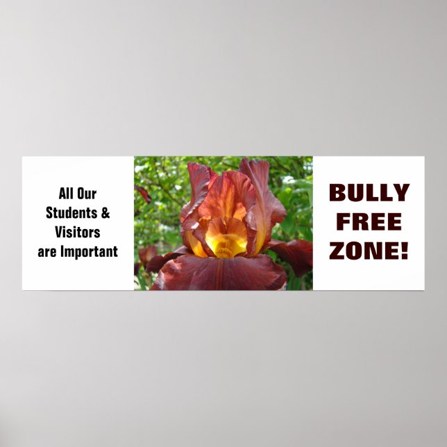Poster BuLLY FREE ZONE! School Kids Students (Front)