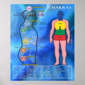 Poster Chakras e suas Relações