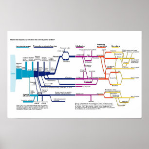 Poster Chart USA American Criminal Justice System