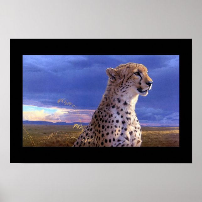 Poster-Cheetah Poster (Front)