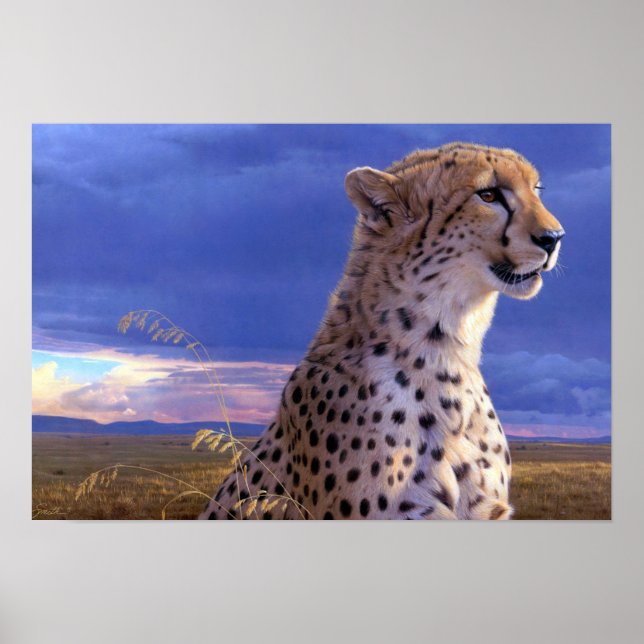 Poster-Cheetah Poster (Front)