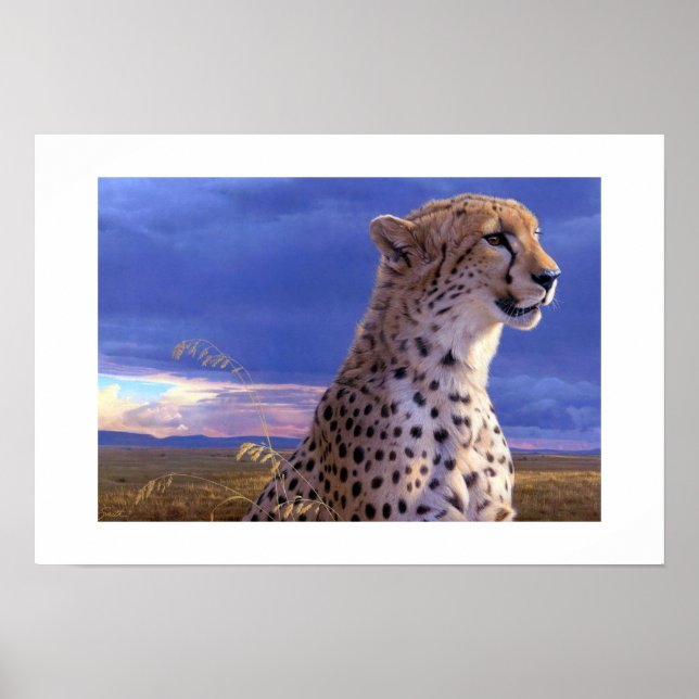Poster-Cheetah Poster (Front)