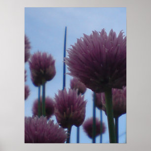 Poster - Chives    Image 1