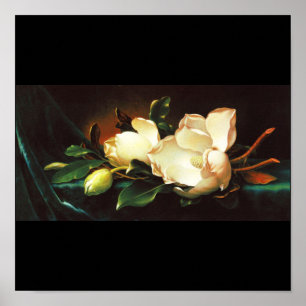 Poster-Classic/Vintage-Martin Johnson Heade 24 Poster