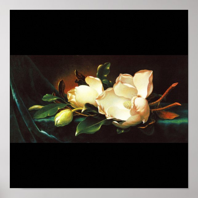 Poster-Classic/Vintage-Martin Johnson Heade 24 Poster (Front)