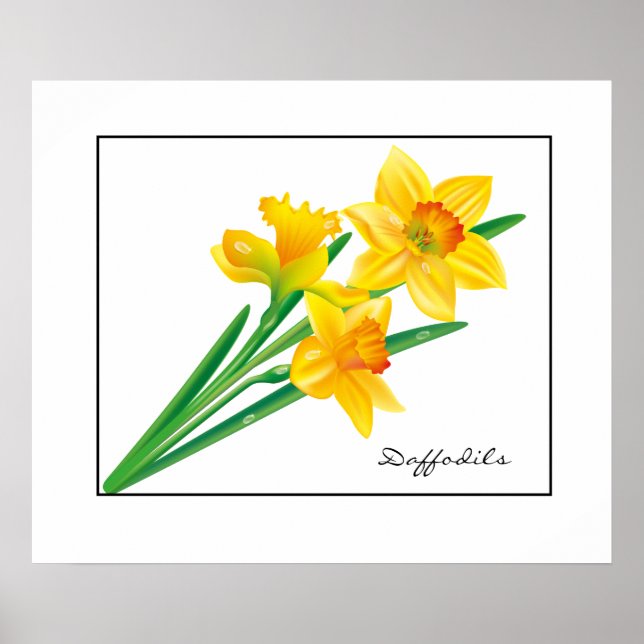 Poster-Daffodils Poster (Front)
