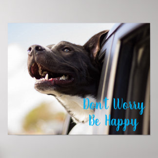 Poster-Dog Face out Car Window Don't Worry Be Poster