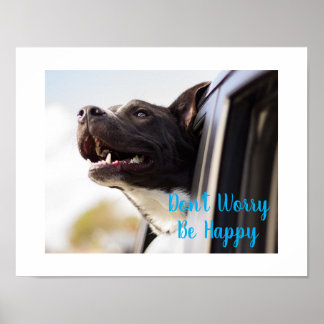 Poster-Dog Face out Car Window Don't Worry Be Poster