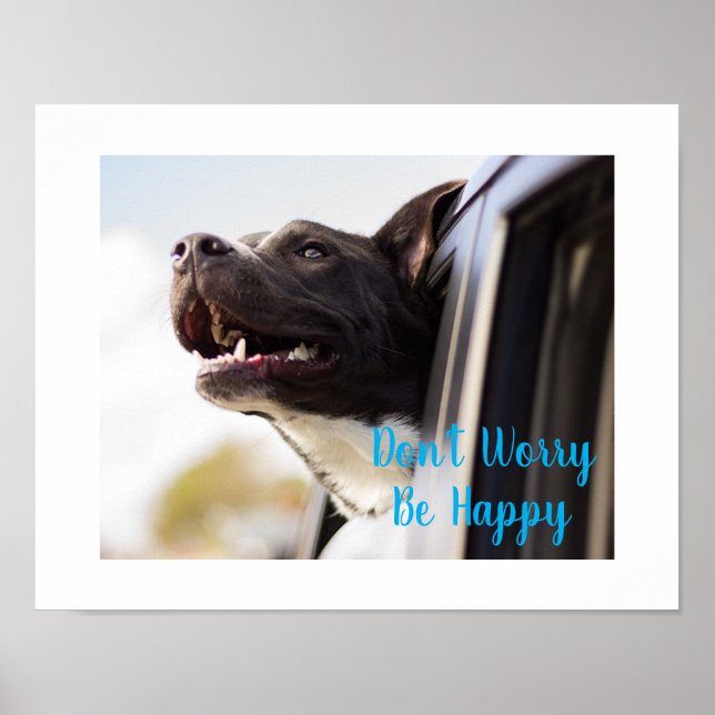 Poster-Dog Face out Car Window Don't Worry Be Poster (Front)