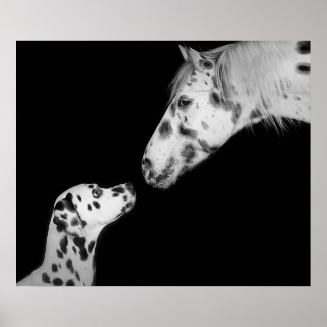 Poster Dotted (Front)