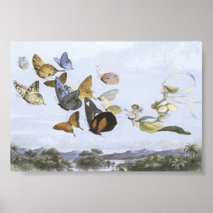 Poster - Fairies Riding Butterflies