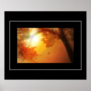 Poster-Fall Leaves Poster
