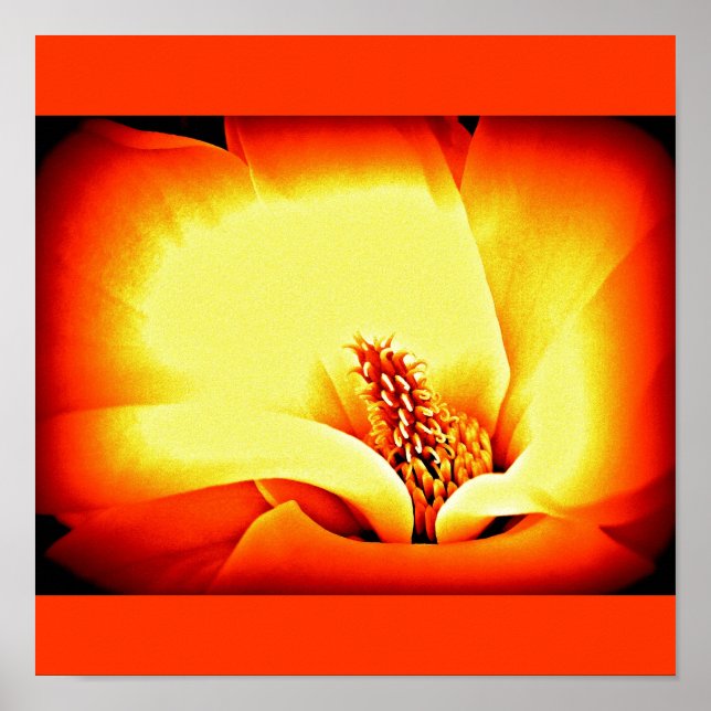Poster-Flowers-Painted Flowers 9 Poster (Front)