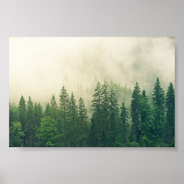 poster Forest, big forest (Front)