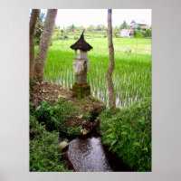 Poster full (18" x 24") Rice field Temple Bali