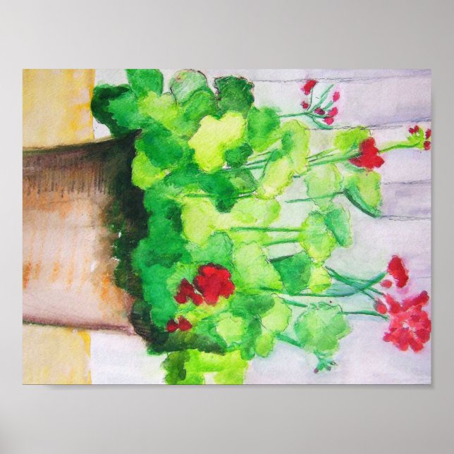 Poster - Geraniums In August (Front)