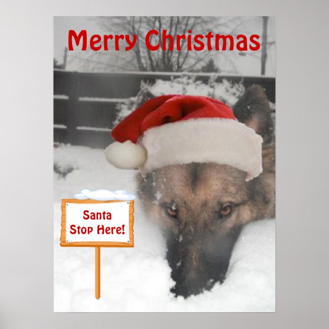 Poster German Shepherd Santa Stop Here Sign (Front)