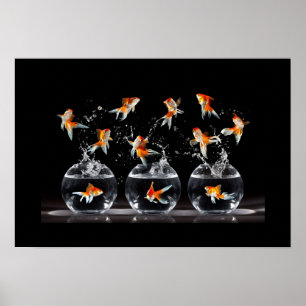 Poster-Goldfish Poster