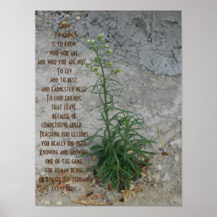 POSTER GROW