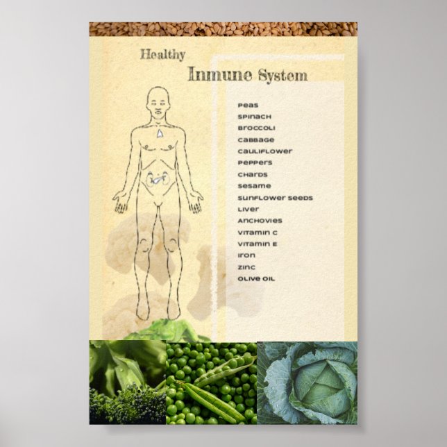 Póster Healthy Inmune System Poster (Front)