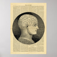 Poster Human Head Phrenology on newspaper
