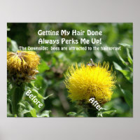 Poster, Humour, "Getting Hair Done Perks Me Up"