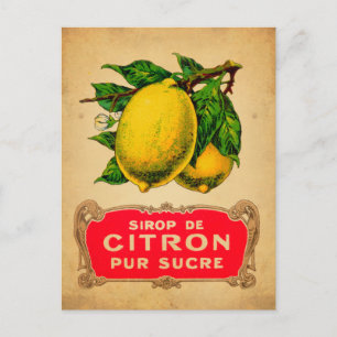 Poster lemon, lemon, fruit, lemon, green, yello postcard