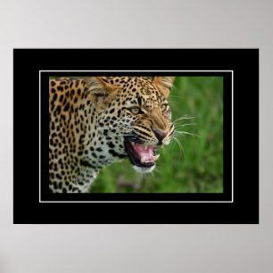 Poster Leopard