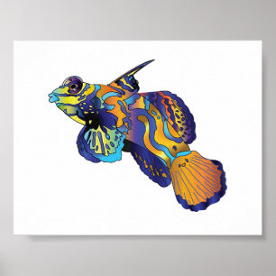 Poster - Mandarin Fish