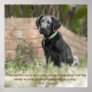 Poster of Labrador Puppy with  Inspirational Quote