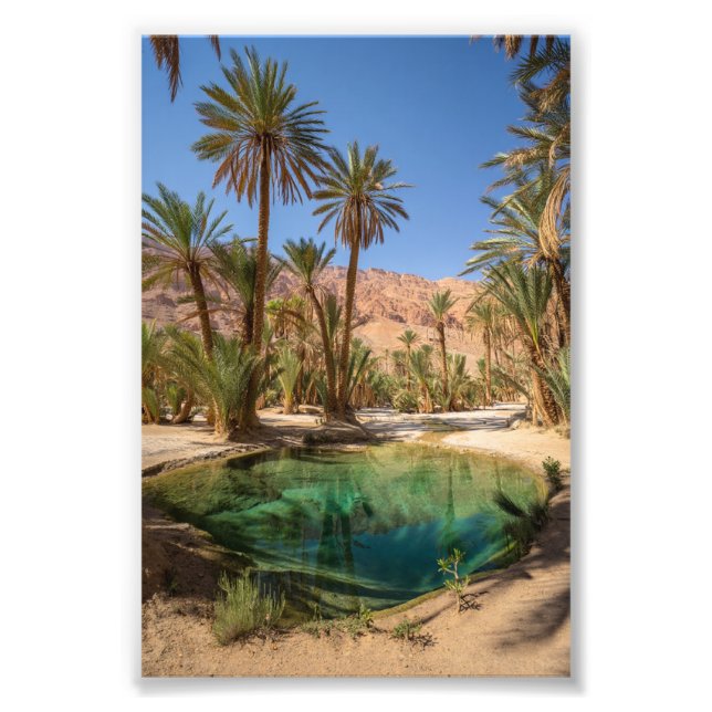 poster of marrakech oasis  (Front)