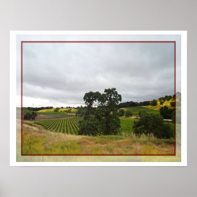 Poster of Paso Robles Wine Country (Front)