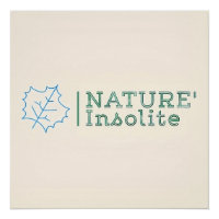 Poster: Official logo of the show