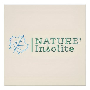 Poster: Official logo of the show Poster