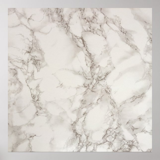 Poster Paper (Matte) (Front)