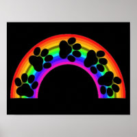 Poster Paws On A Rainbow