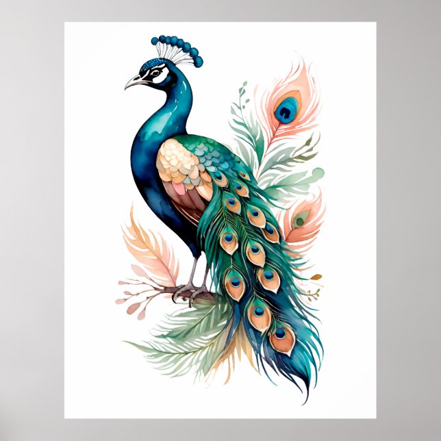 Poster peacock (Front)