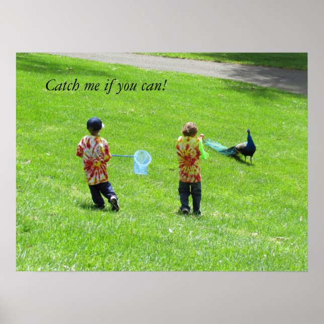 Poster - Peacock Hunters (Front)